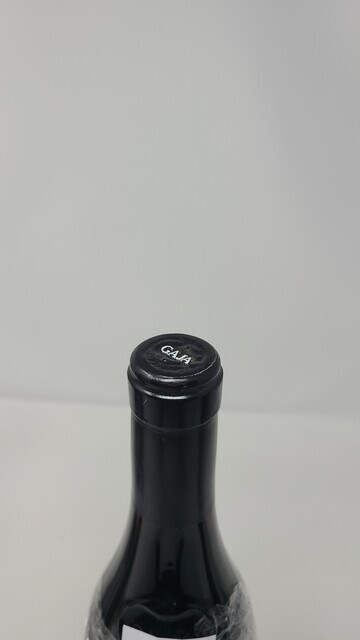 Gaja Sori Tildin 2008