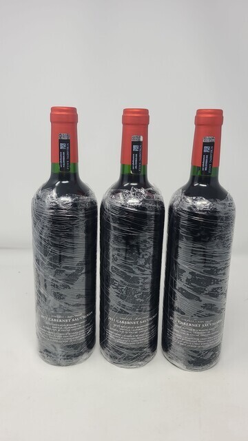 Screaming Eagle 2011