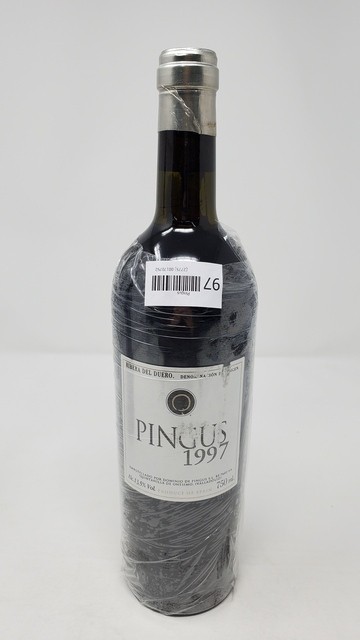 Pingus 1997