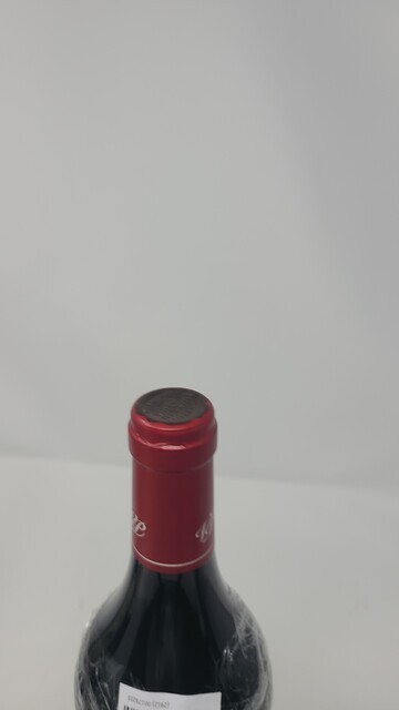 Pavie 2005