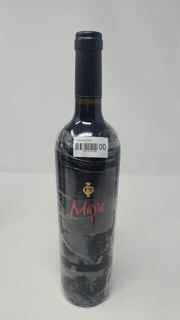 Dalla Valle Maya 2000