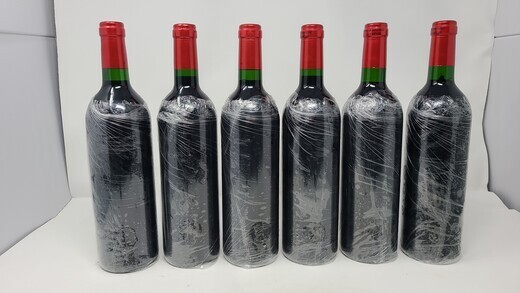 Palmer 1995