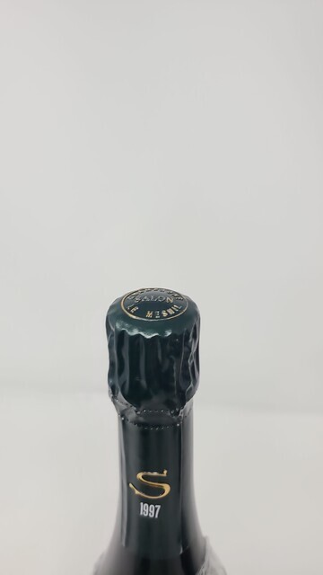 Salon Le Mesnil 1997