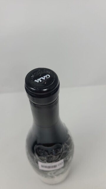 Gaja Sori Tildin 2000