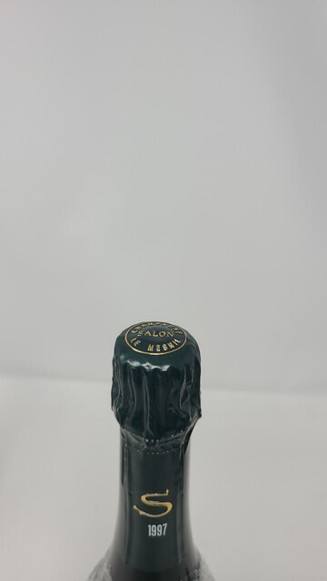 Salon Le Mesnil 1997