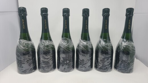 Salon Le Mesnil 1995