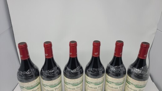 Pavie 2005