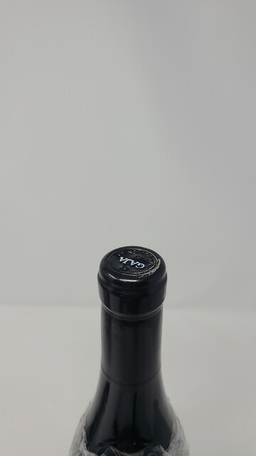 Gaja Sori Tildin 1998