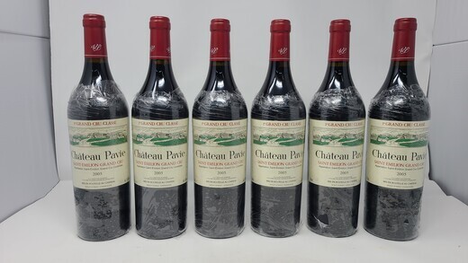 Pavie 2005