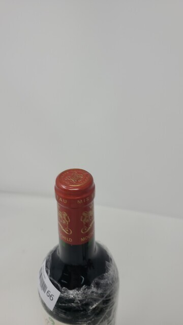 Mouton 1999