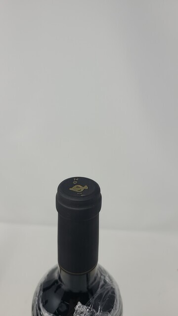 Dalla Valle Maya 2014