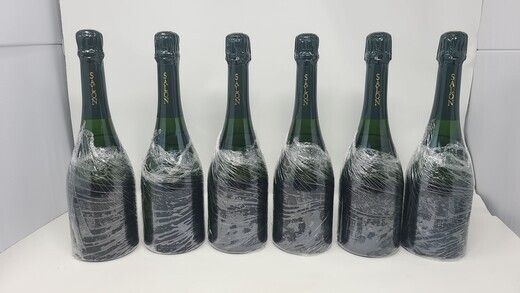 Salon Le Mesnil 1995