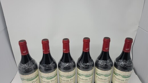Pavie 2005
