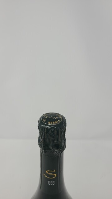 Salon Le Mesnil 1983