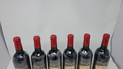 Palmer 1995