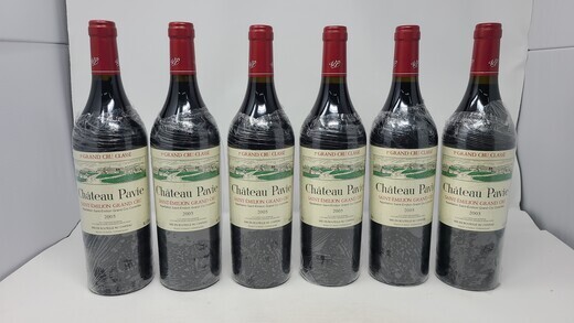 Pavie 2005