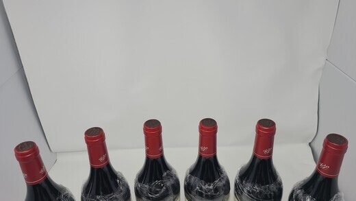 Pavie 2004
