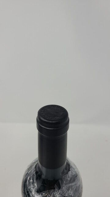 Screaming Eagle Second Flight 2006