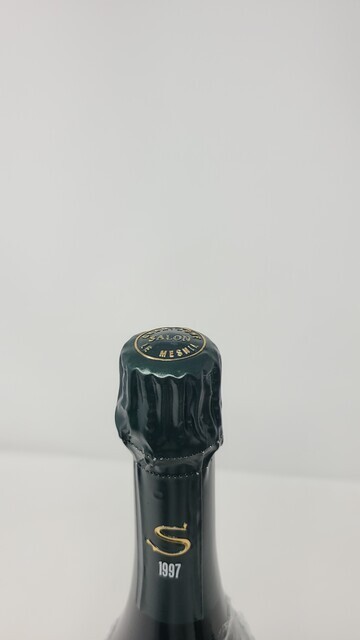 Salon Le Mesnil 1997